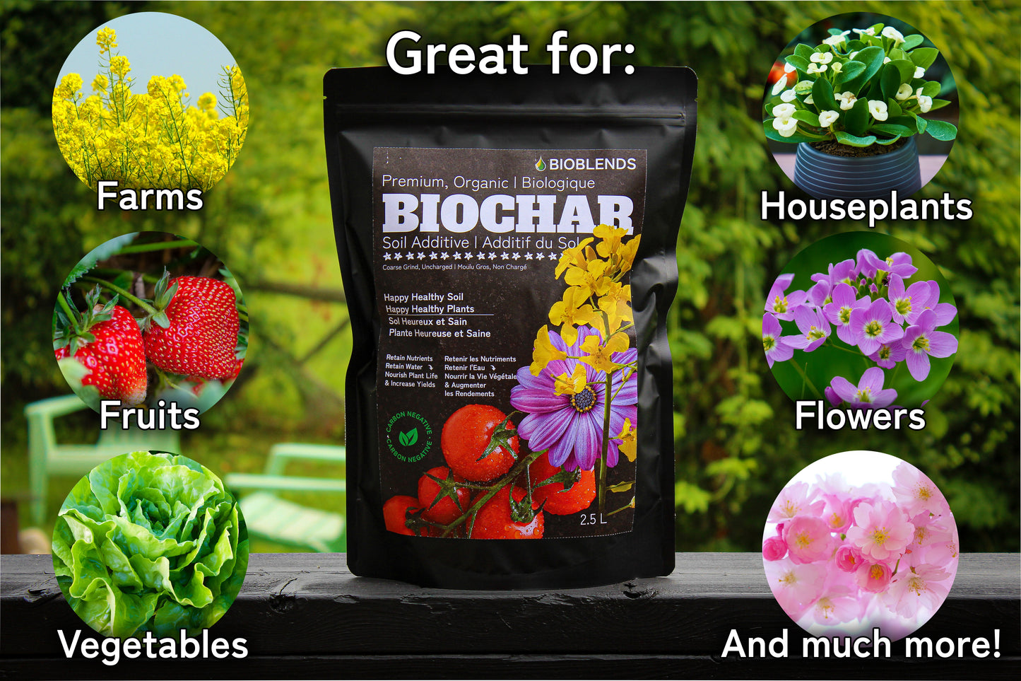Premium Organic Biochar (2.5 L)