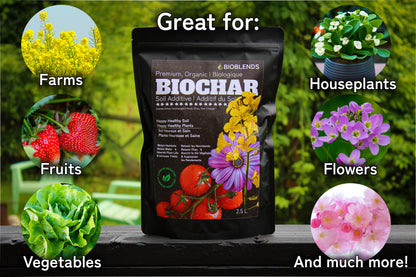 Premium Organic Biochar (2.5 L)