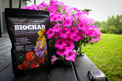 Premium Organic Biochar (2.5 L)